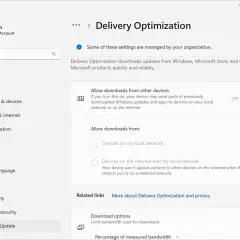 Ustawienia optymalizacji dostarczania w Windows 10. Możesz tu zarządzać pobieraniem aktualizacji, co wpływa na wydajność dysku.