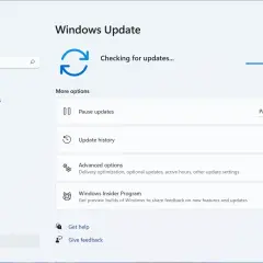 Ekran Ustawień Windows, sekcja Windows Update. Sprawdzanie aktualizacji, opcja wstrzymania na 25h2 tygodnie.